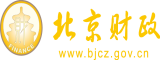 抽插晕过去网站北京市财政局