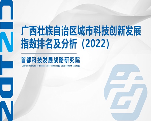 操逼视频很爽【成果发布】广西壮族自治区城市科技创新发展指数排名及分析（2022）